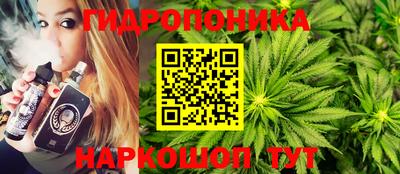 a pvp Ставрополь