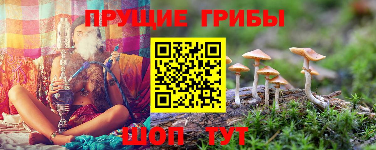 купить наркоту  Галлюциногенные грибы Psilocybine cubensis  Вход с VPN  Октябрьский 